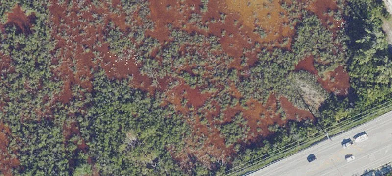 Islamorada, FL 33036