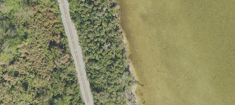 Mims, FL 32754