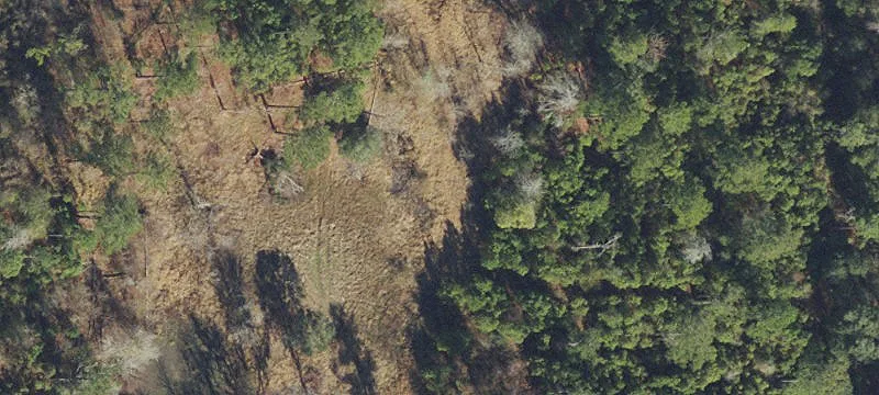 Live Oak, FL 32060