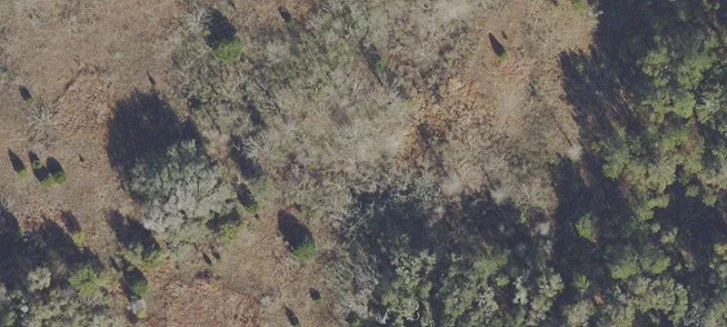 Ocala, FL 34481