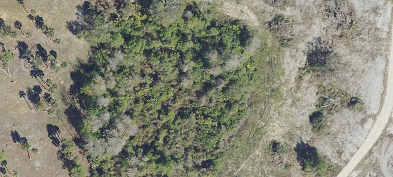 Lehigh Acres, FL 33972
