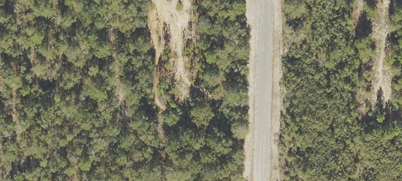 Technology Ave