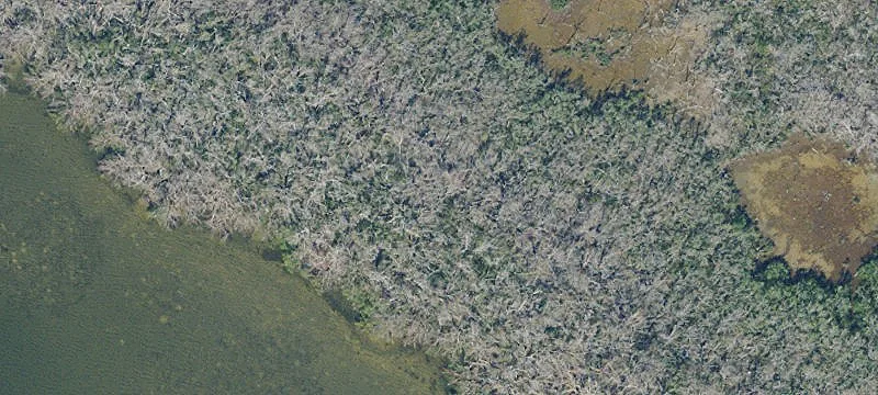 Saint James City, FL 33956