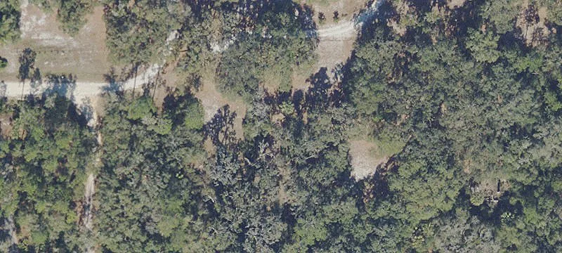 Hawthorne, FL 32640