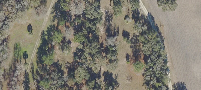 Dunnellon, FL 34432
