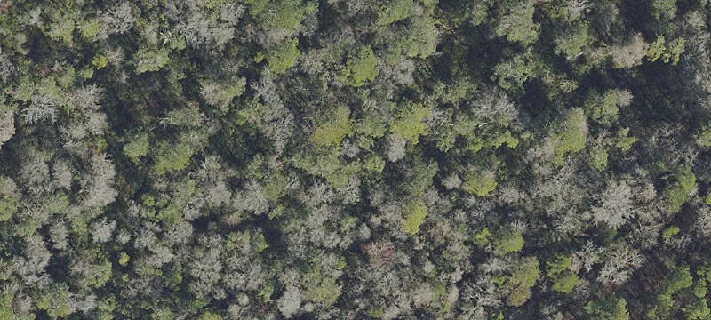 Alachua, FL 32615