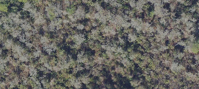 Bunnell, FL 32110