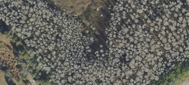 Hudson, FL 34669