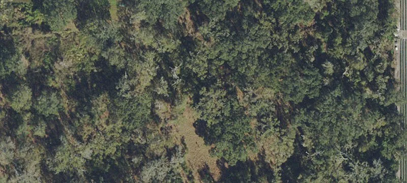 Dover, FL 33527