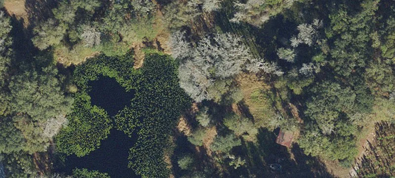 Live Oak, FL 32060