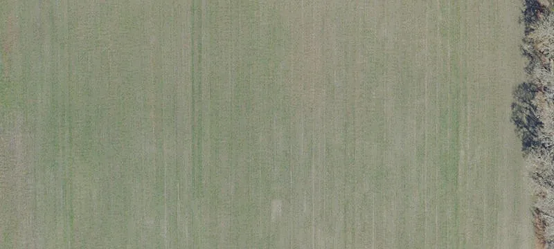 Alachua, FL 32615