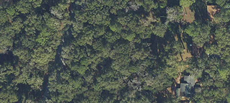 High Springs, FL 32643