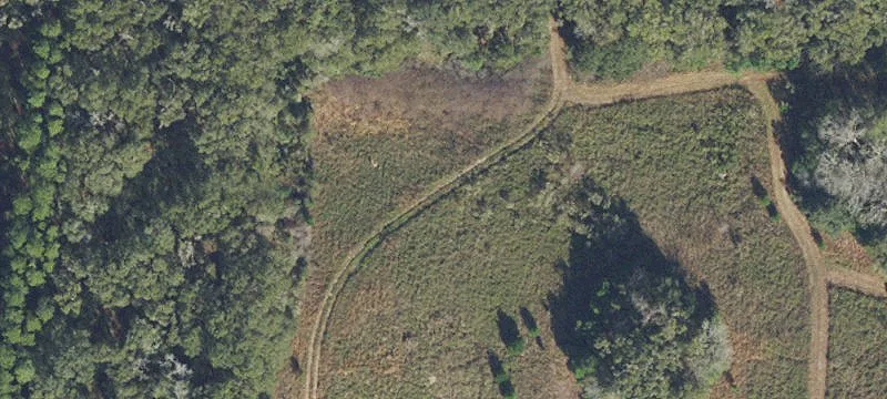 Archer, FL 32618
