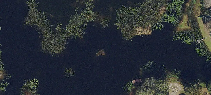 Lutz, FL 33559