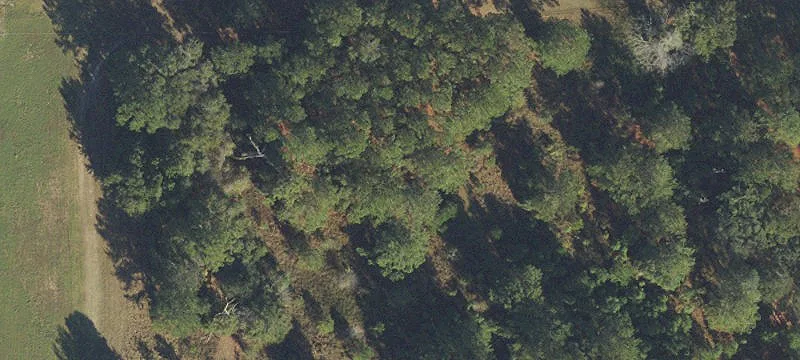 Alachua, FL 32615