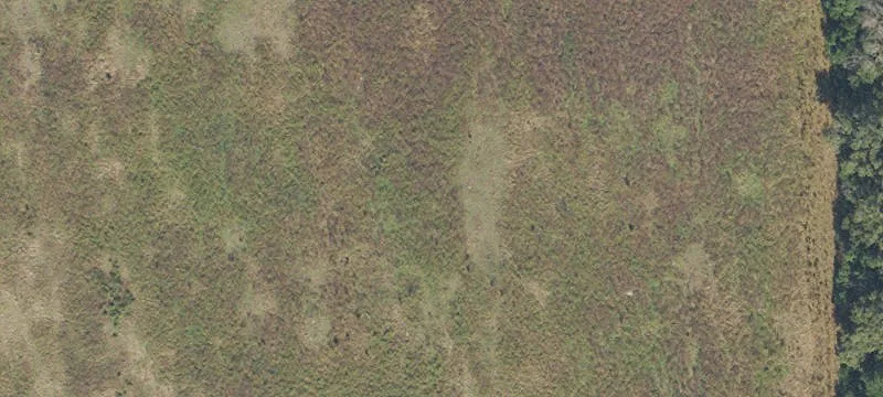 High Springs, FL 32643