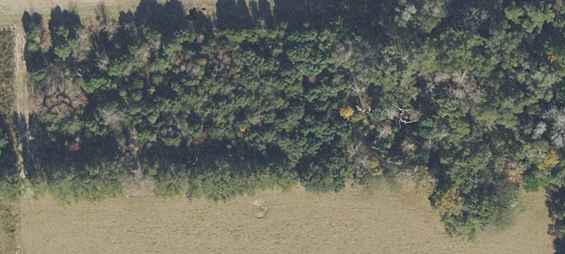 Newberry, FL 32669