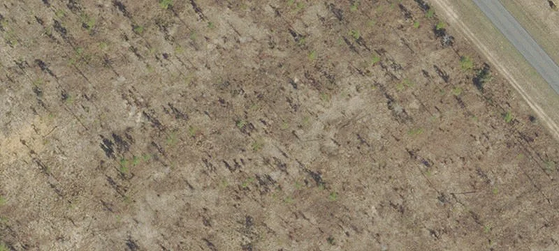 Bristol, FL 32321