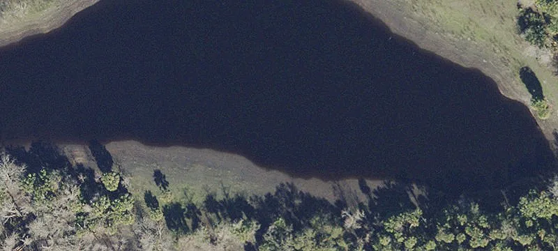Geneva, FL 32732