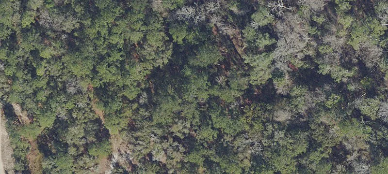 Interlachen, FL 32148