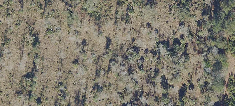 Citra, FL 32113