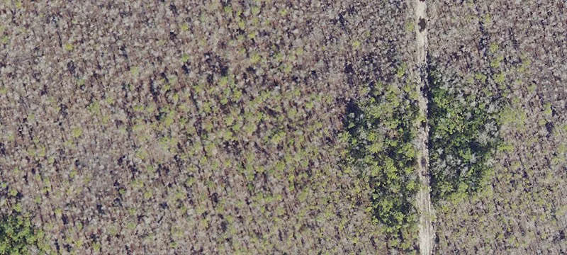 Bonita Springs, FL 34135