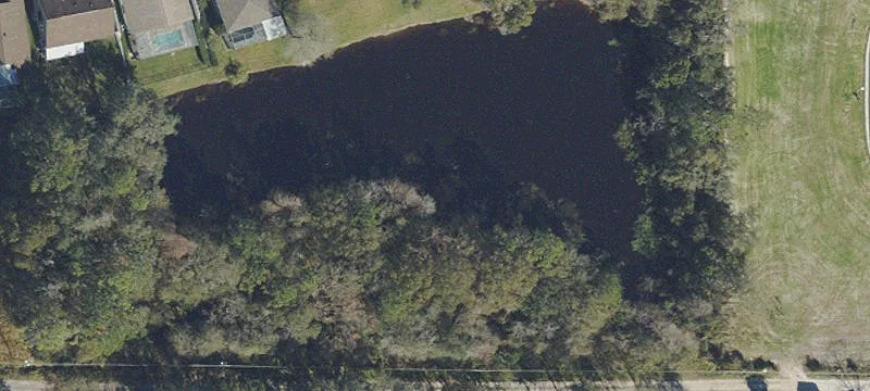 Zephyrhills, FL 33541