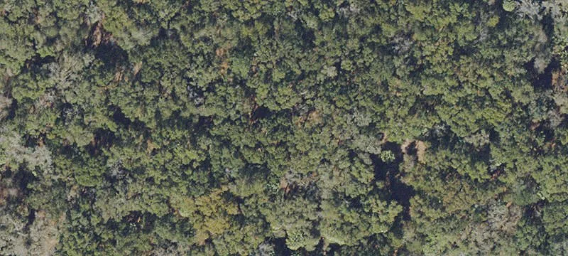 Hawthorne, FL 32640