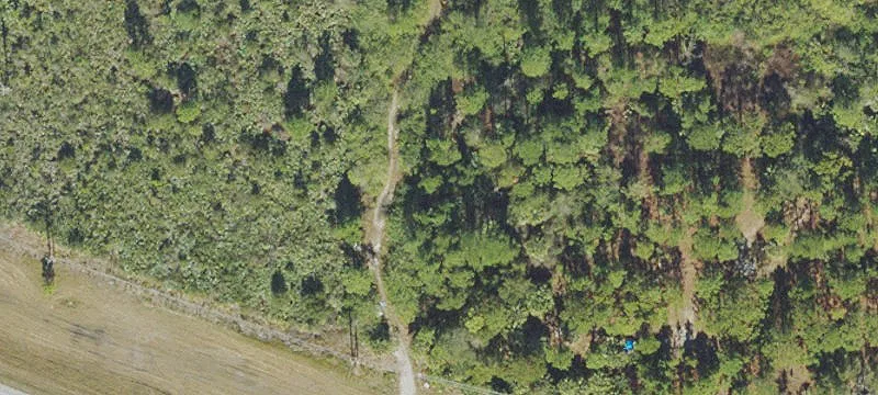 Cocoa, FL 32926