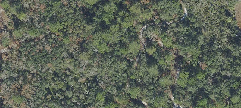 Hudson, FL 34667