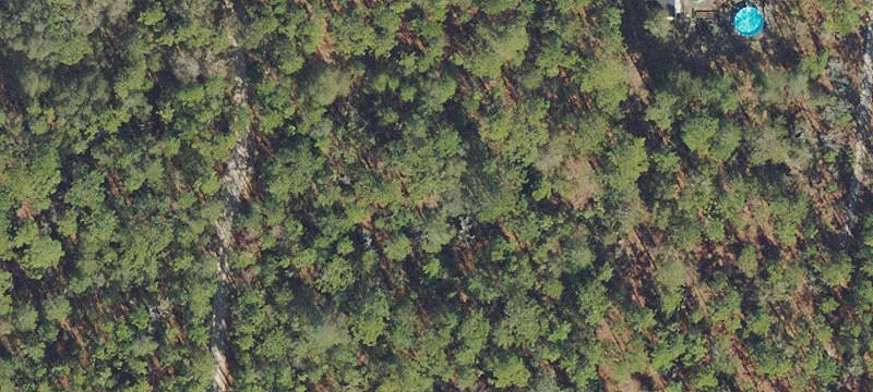 Florahome, FL 32140