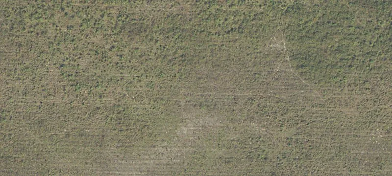 Archer, FL 32618
