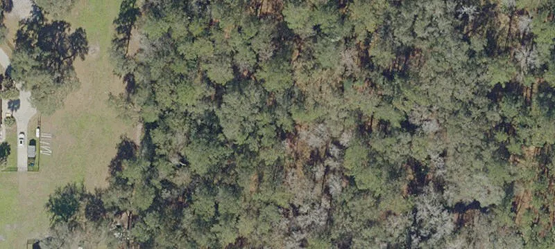Micanopy, FL 32667