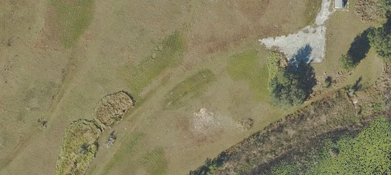 Grassy Lk Rd