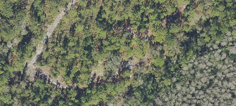 Kissimmee, FL 34758