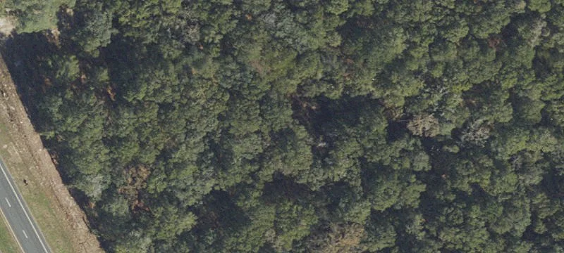 Chiefland, FL 32626