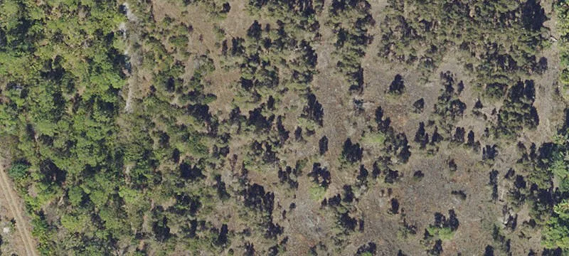 Estero, FL 