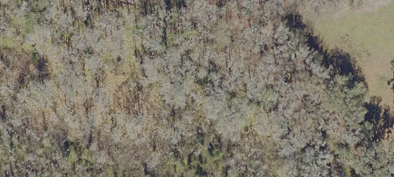 Micanopy, FL 32667
