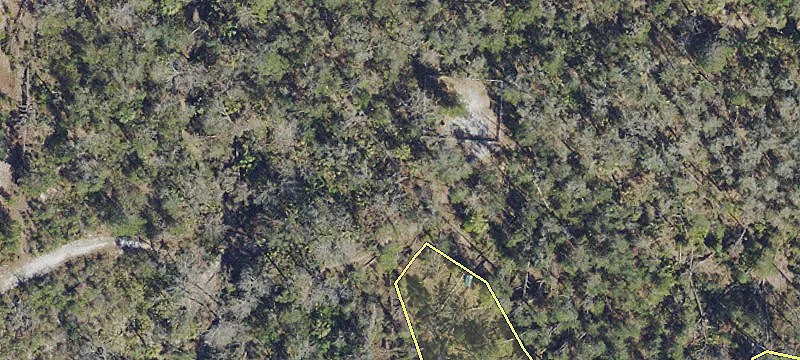 Rye Wilderness Trl