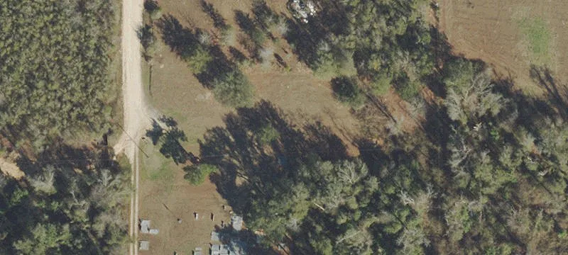 Grand Ridge, FL 32442
