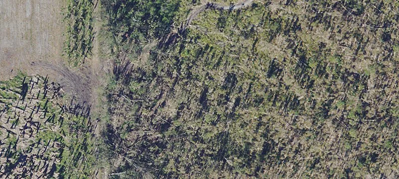 Bokeelia, FL 33922