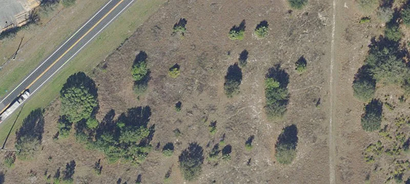 State Rd 19