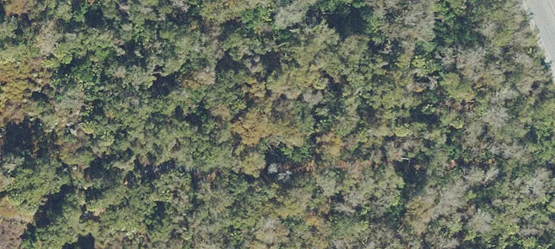 Rockledge, FL 32955