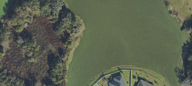 Zephyrhills, FL 33541