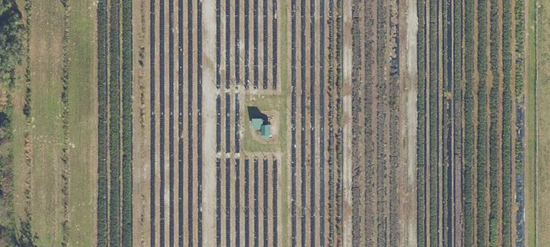 Archer, FL 32618