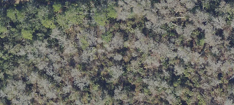 Bunnell, FL 32110