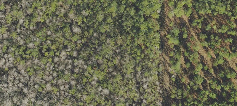 Deland, FL 32724