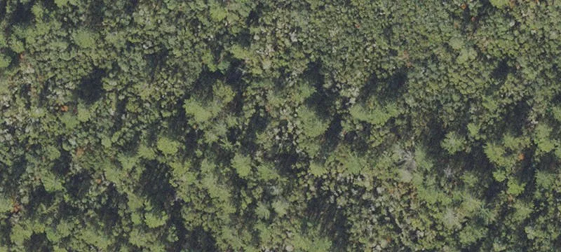 Ocala, FL 34473