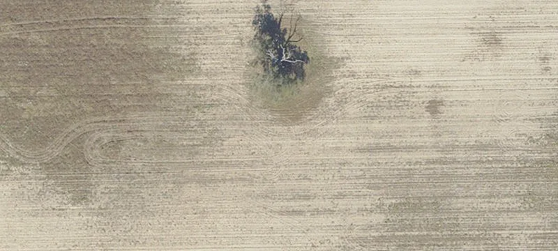 Dunnellon, FL 34431