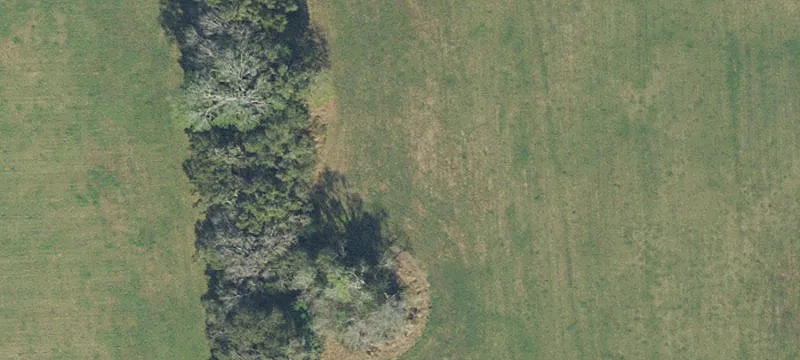 Newberry, FL 32669